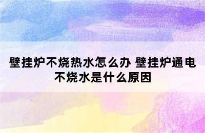 壁挂炉不烧热水怎么办 壁挂炉通电不烧水是什么原因